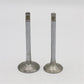 Supapa SET (Em+Eg): HATZ / 2G40 / Nr. referinta: 042 229 00+228 00