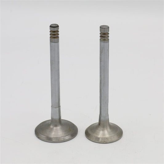 Supapa SET (Em+Eg): HATZ / 2G40 / Nr. referinta: 042 229 00+228 00
