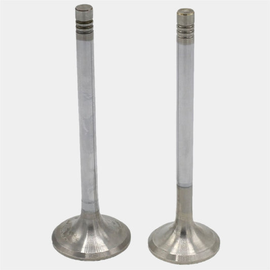 Supapa SET (Em+Eg): HATZ / 2L40 / 2M40 / Nr. referinta: 036 255 01+256 00