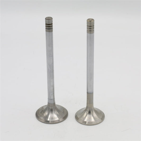 Supapa SET (Em+Eg): HATZ / 2L41 / 2M41 / Nr. referinta: 041 084 00+085 00