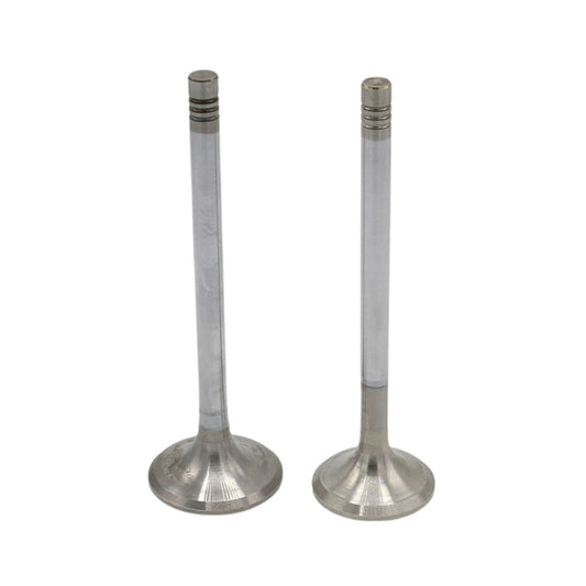 Supapa SET (Em+Eg): HATZ / 2L41 / 2M41 / Nr. referinta: 041 084 00+085 00