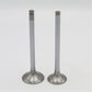 Supapa SET (Em+Eg): HATZ / E108 / Z108 / D108 / V108 / Nr. referinta: 032 919 00+920 00