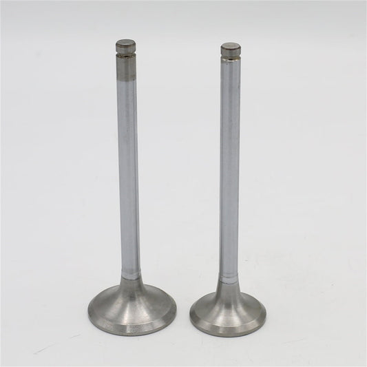 Supapa SET (Em+Eg): HATZ / E108 / Z108 / D108 / V108 / Nr. referinta: 032 919 00+920 00