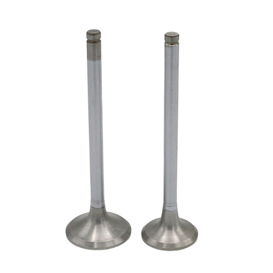 Supapa SET (Em+Eg): HATZ / E108 / Z108 / D108 / V108 / Nr. referinta: 032 919 00+920 00