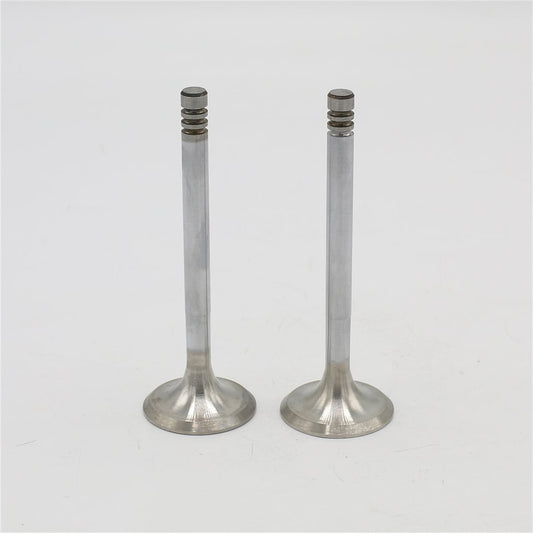 Supapa SET (Em+Eg): HATZ / E71 / E75 / E79 / E780 / Nr. referinta: 031 243 10+243 10
