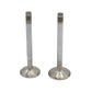 Supapa SET (Em+Eg): HATZ / E786 / Nr. referinta: 037 659 00+030 199 10