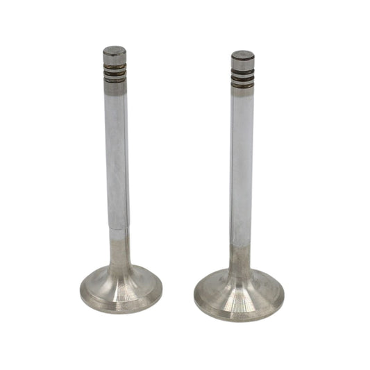 Supapa SET (Em+Eg): HATZ / E786 / Nr. referinta: 037 659 00+030 199 10