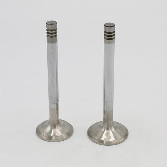 Supapa SET (Em+Eg): HATZ / E786 / Nr. referinta: 037 659 00+030 199 10