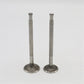 SET MOTOR Supapa (In+Ex): HATZ / E80 / E85 / Nr. referinta: 030 269 00+268 00