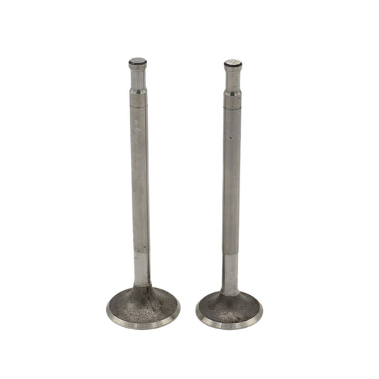 SET MOTOR Supapa (In+Ex): HATZ / E80 / E85 / Nr. referinta: 030 269 00+268 00