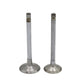 Supapa SET (Em+Eg): KUBOTA / V2003 / V2403 / Nr. referinta: 1G896-13110 + 1G896-13120