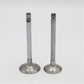 Supapa SET (Em+Eg): KUBOTA / V2003 / V2403 / Nr. referinta: 1G896-13110 + 1G896-13120