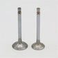 Supapa SET (Em+Eg): KUBOTA / Z602 / D902 / Nr. referinta: 1G460-13110 + 1G460-13120