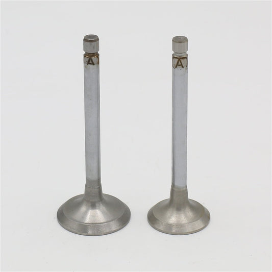 Supapa SET (Em+Eg): KUBOTA / Z602 / D902 / Nr. referinta: 1G460-13110 + 1G460-13120
