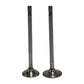 Supapa SETİ (EM+EG) : LIEBHERR / D934 / D936 / D944 / D946
