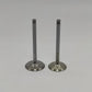 Supapa SET (Em+Eg): LOMBARDINI / 12LD 477-2