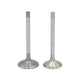 Supapa SET (Em+Eg): LOMBARDINI / 15LD 315 / 15LD 350