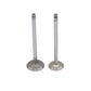 Supapa SET (Em+Eg): LOMBARDINI / 15LD 400 / 15LD 440 / Nr. referinta: 9652 163 + 9685 155