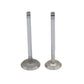 Supapa SET (Em+Eg): LOMBARDINI / 3LD 510 / LDA 450 / Nr. referinta: 9652 017 + 9685 027