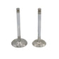 ENGINE Supapa SET (In+Ex) : LOMBARDINI / 6LD 400 / 6LD 435 / Nr. referinta: 9652 099 + 9685 104