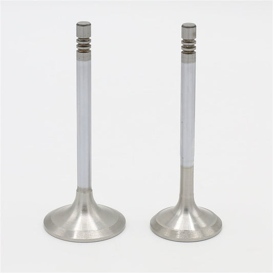Supapa SETİ (Em+Eg): LOMBARDINI / LDW 1603 / LDW 2204 / Nr. referinta: 9652 147 + 9685 142