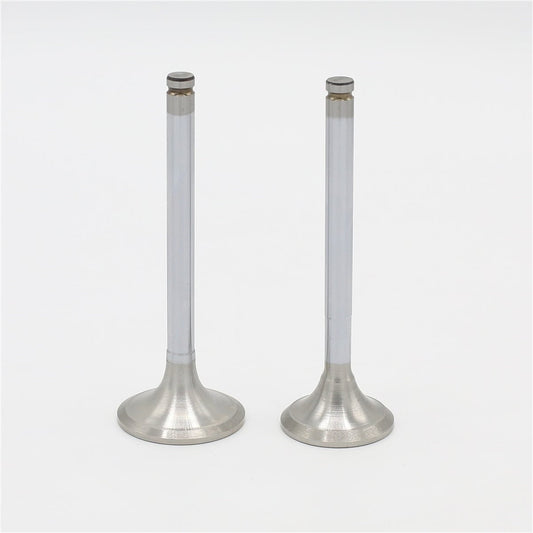 Supapa SET (Em+Eg): LOMBARDINI / LDW 502 / LDW 602 / LDW 903 / LDW 1204 / Nr. referinta: 9652 101 + 9685 105