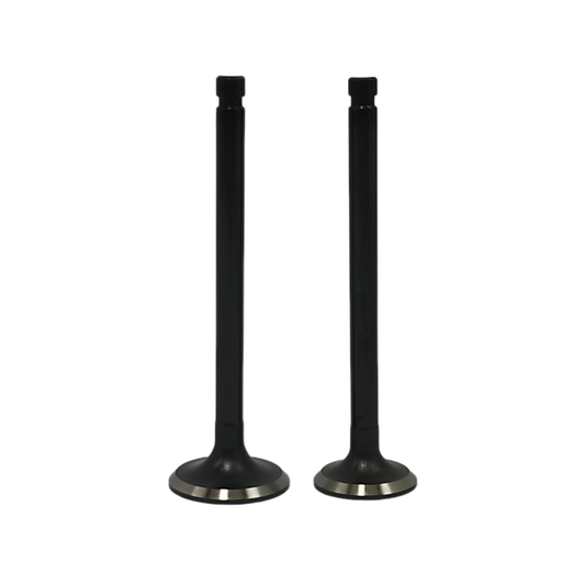 Supapa SET (Em+Eg): MITSUBISHI / K3N / K4N / K3M / K4M