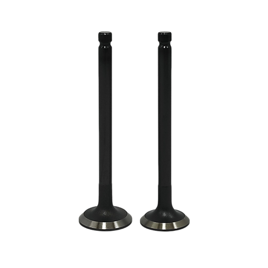 Supapa SETİ (Em+Eg): MITSUBISHI / L2C / L3C / L2E / L3E / Nr. referinta: 30L06-01100 + 30L06-01200