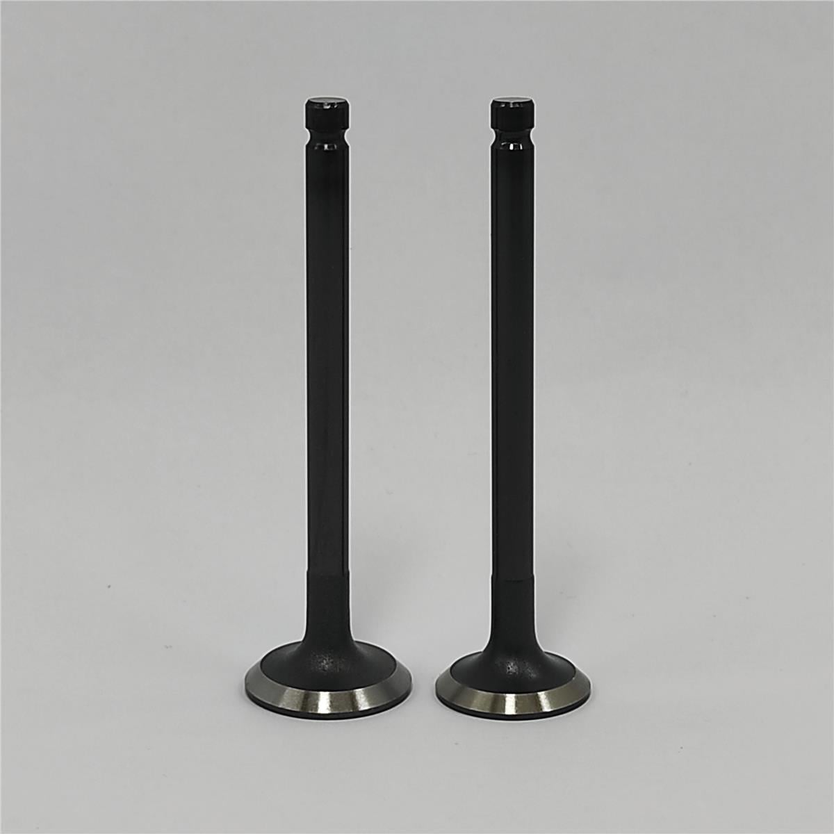 Supapa SETİ (Em+Eg): MITSUBISHI / L2C / L3C / L2E / L3E / Nr. referinta: 30L06-01100 + 30L06-01200