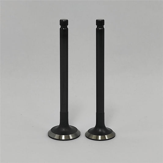 Supapa SETİ (Em+Eg): MITSUBISHI / L2C / L3C / L2E / L3E / Nr. referinta: 30L06-01100 + 30L06-01200