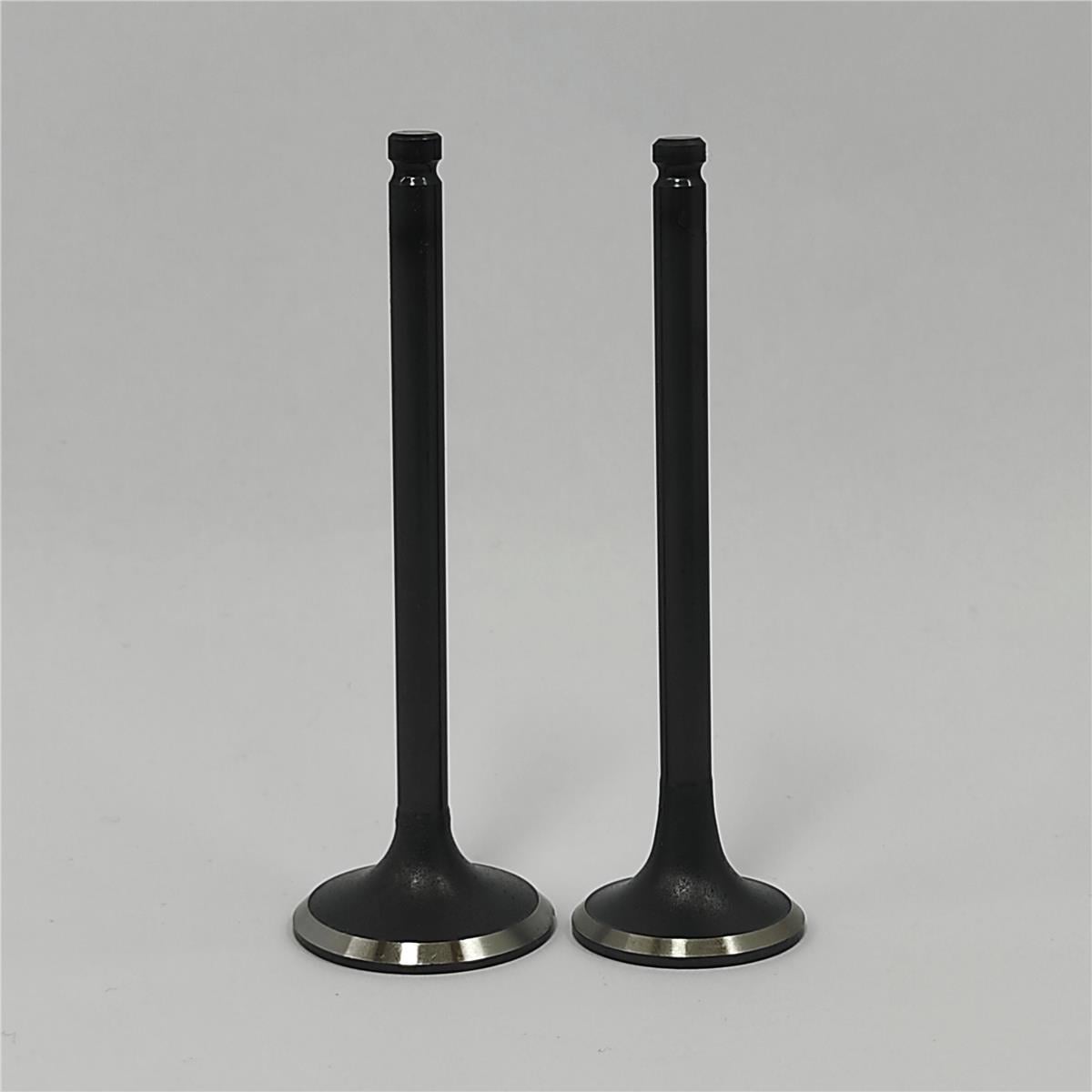 Supapa SET (Em+Eg): MITSUBISHI / S3L / S4L