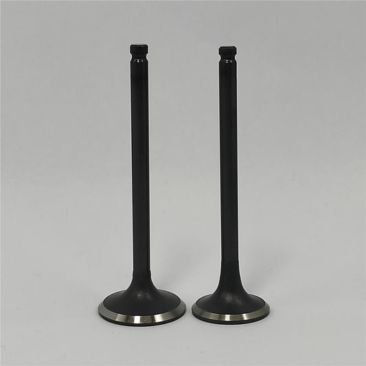 Supapa SET (Em+Eg): MITSUBISHI / S3L / S4L