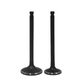 Supapa SET (Em+Eg): MITSUBISHI / S4S / S6S / Nr. referinta: 32A04-10100 + 32A04-11100