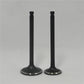 Supapa SET (Em+Eg): MITSUBISHI / S4S / S6S / Nr. referinta: 32A04-10100 + 32A04-11100