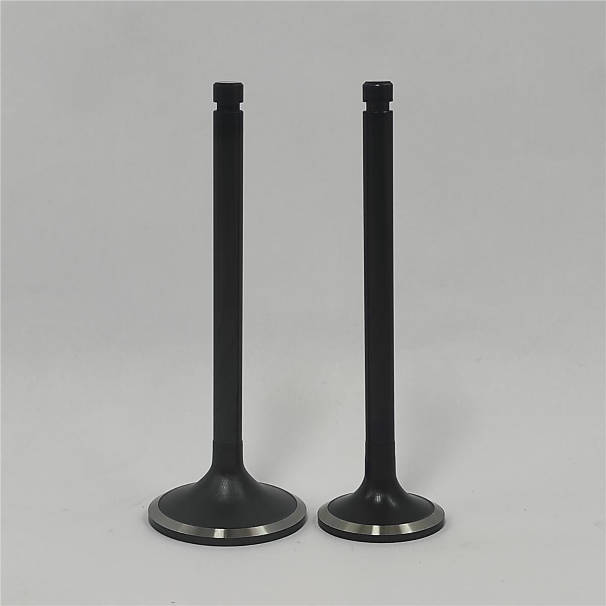 Supapa SET (Em+Eg): MITSUBISHI / S4S / S6S / Nr. referinta: 32A04-10100 + 32A04-11100