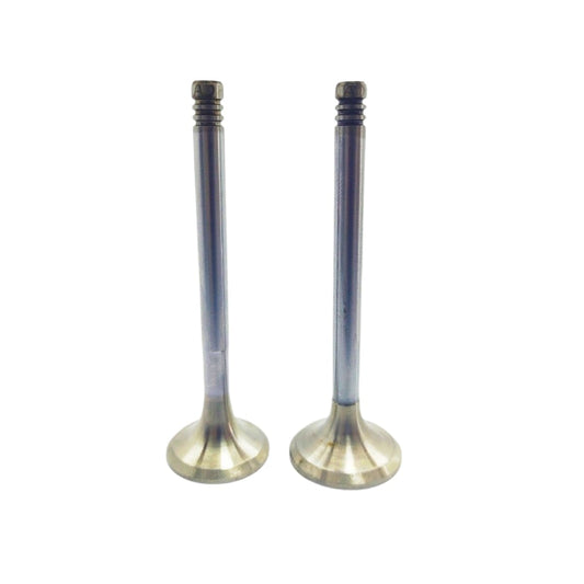 SET MOTOR Supapa (In+Ex) : MWM / D 226-B / Nr. referinta: 622604605014 + 622604605034
