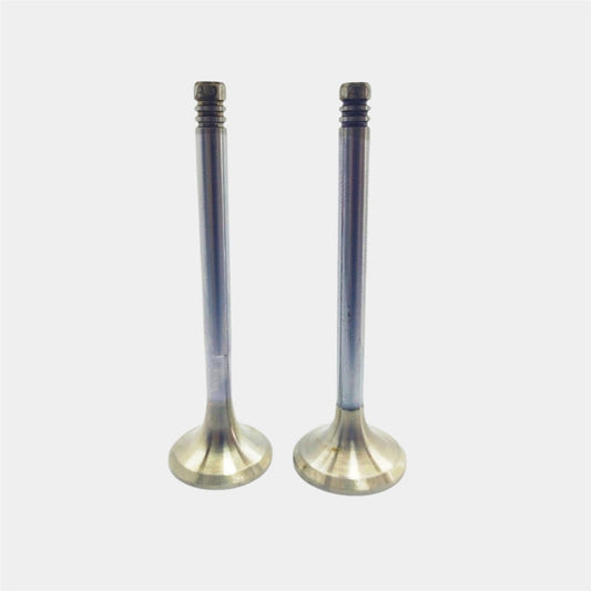 SET MOTOR Supapa (In+Ex) : MWM / D 226-B / Nr. referinta: 622604605014 + 622604605034
