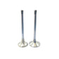 Supapa SET (Em+Eg): MWM / TD 226-B / Nr. referinta: 622604607014 + 622604607034