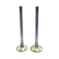 Supapa SET (Em+Eg): MWM / TD 226 / TD 228 / TD 229 / Nr. referinta: 622804603014 + 622604603024