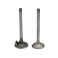 Supapa SET (Em+Eg): RUGGERINI / CRD 100 / CRD 100-2 / RP 170 / RP 320 / CRD 105 / RP 380 / Nr. referinta: 960,20+960,21
