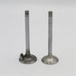 Supapa SET (Em+Eg): RUGGERINI / CRD 100 / CRD 100-2 / RP 170 / RP 320 / CRD 105 / RP 380 / Nr. referinta: 960,20+960,21
