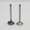 Supapa SET (Em+Eg): RUGGERINI / CRD 100 / CRD 100-2 / RP 170 / RP 320 / CRD 105 / RP 380 / Nr. referinta: 960,20+960,21