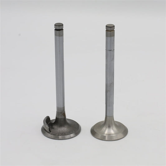 Supapa SET (Em+Eg): RUGGERINI / CRD 100 / CRD 100-2 / RP 170 / RP 320 / CRD 105 / RP 380 / Nr. referinta: 960,20+960,21