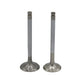 Supapa SET (Em+Eg): RUGGERINI / RD 180 / RD 200 / RF 80 / RF 90 / Nr. referinta: 960,49+960,50