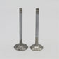 Supapa SET (Em+Eg): RUGGERINI / RD 180 / RD 200 / RF 80 / RF 90 / Nr. referinta: 960,49+960,50