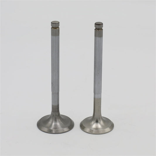 Supapa SET (Em+Eg): RUGGERINI / RD 180 / RD 200 / RF 80 / RF 90 / Nr. referinta: 960,49+960,50