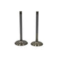 Supapa SET (Em+Eg): RUGGERINI / RD 210 / RF 120 / RF 140