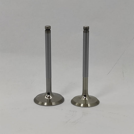 Supapa SET (Em+Eg): RUGGERINI / RD 210 / RF 120 / RF 140