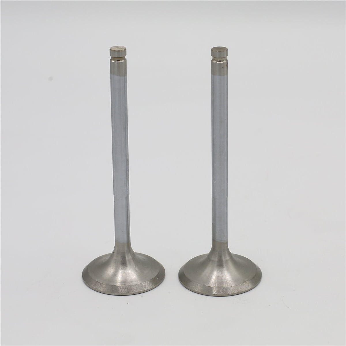 Supapa SET (Em+Eg): RUGGERINI / RD 220 / RD 240 / RD 270 / Nr. referinta: 960,57+960,57