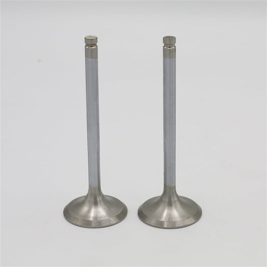 Supapa SET (Em+Eg): RUGGERINI / RD 220 / RD 240 / RD 270 / Nr. referinta: 960,57+960,57